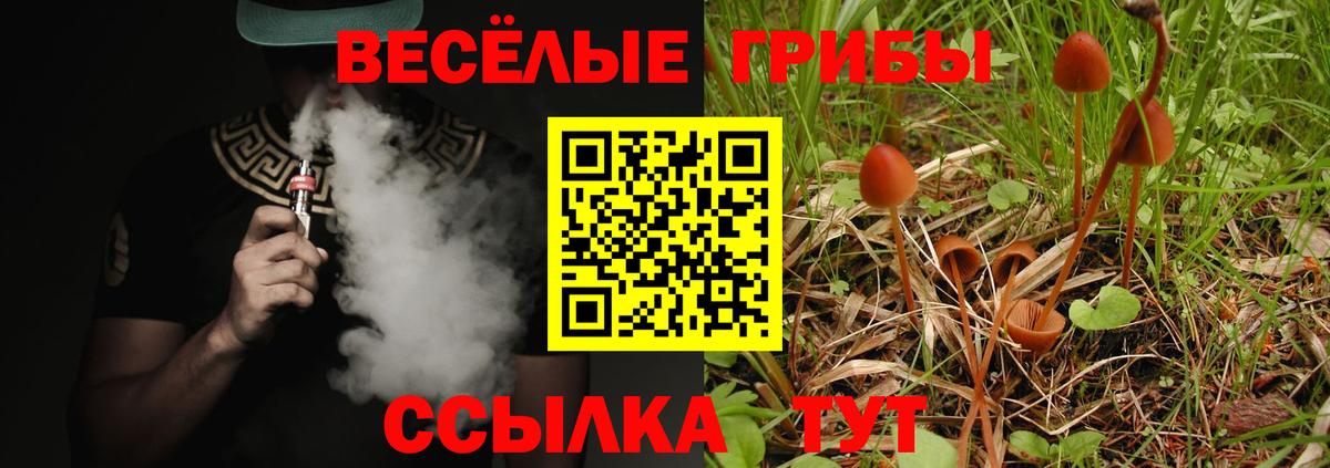 Мирный  Галлюциногенные грибы ЛСД  Вход с VPN 